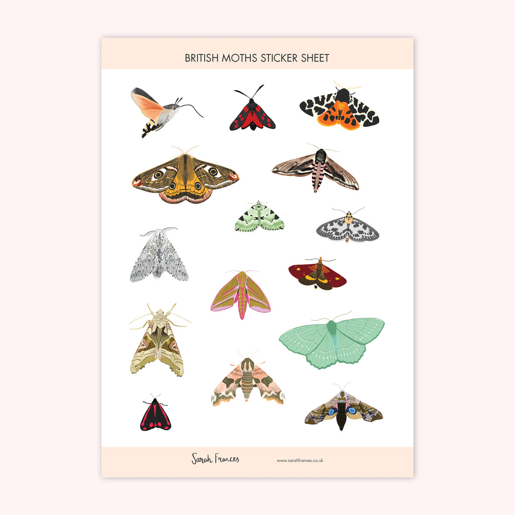 British Moths Stickers - Sarah Frances 