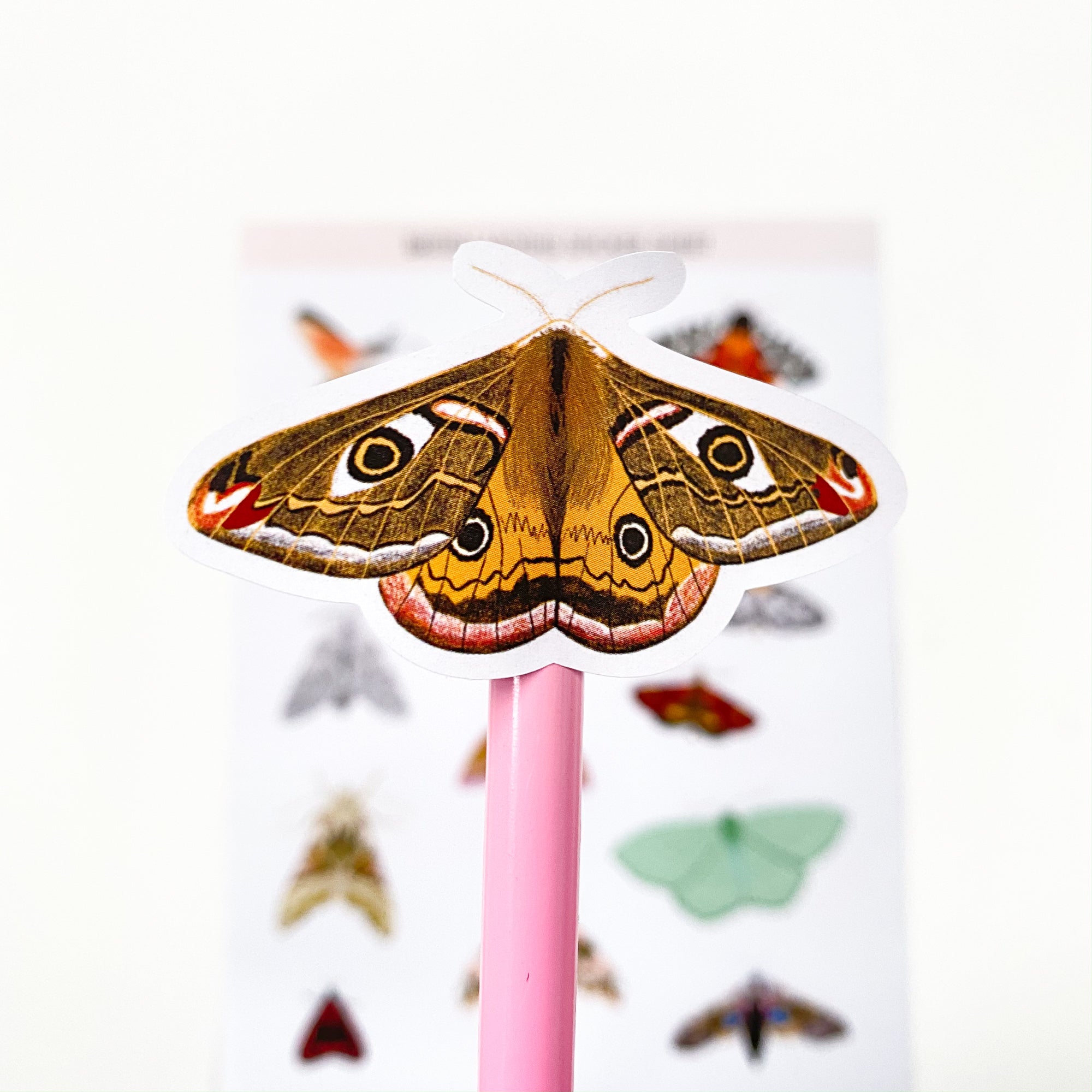 British Moths Stickers - Sarah Frances