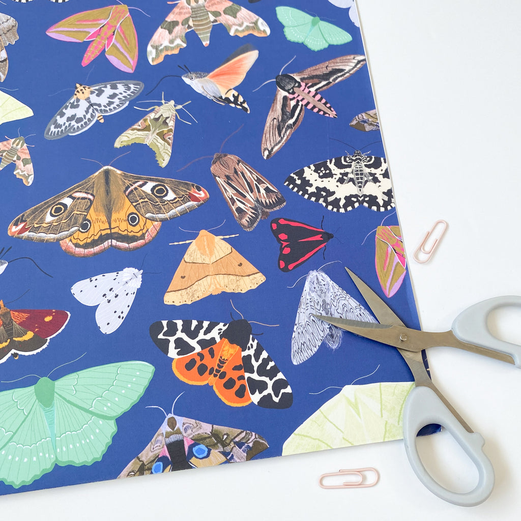 British Moths Wrapping Paper - Sarah Frances 
