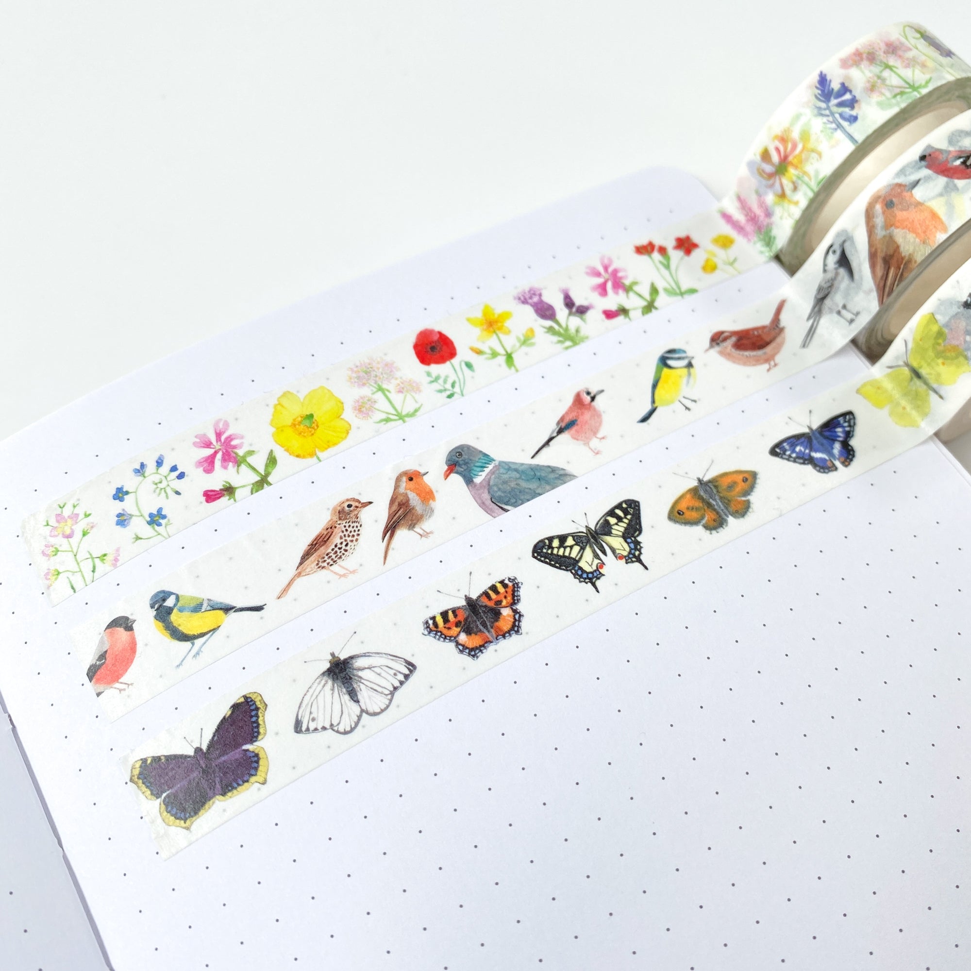 British Nature Washi Tape Set - Sarah Frances