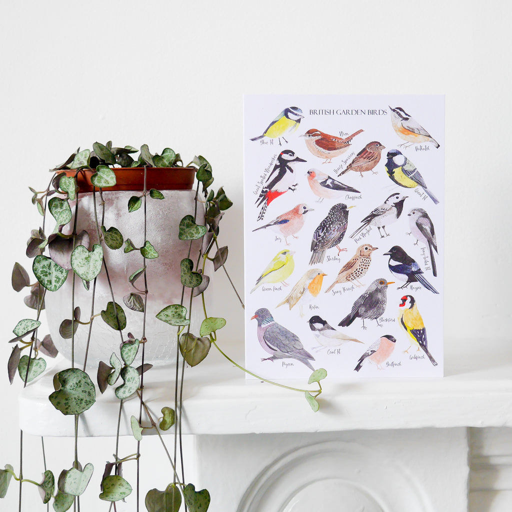 British Birds Greetings Card - Sarah Frances 