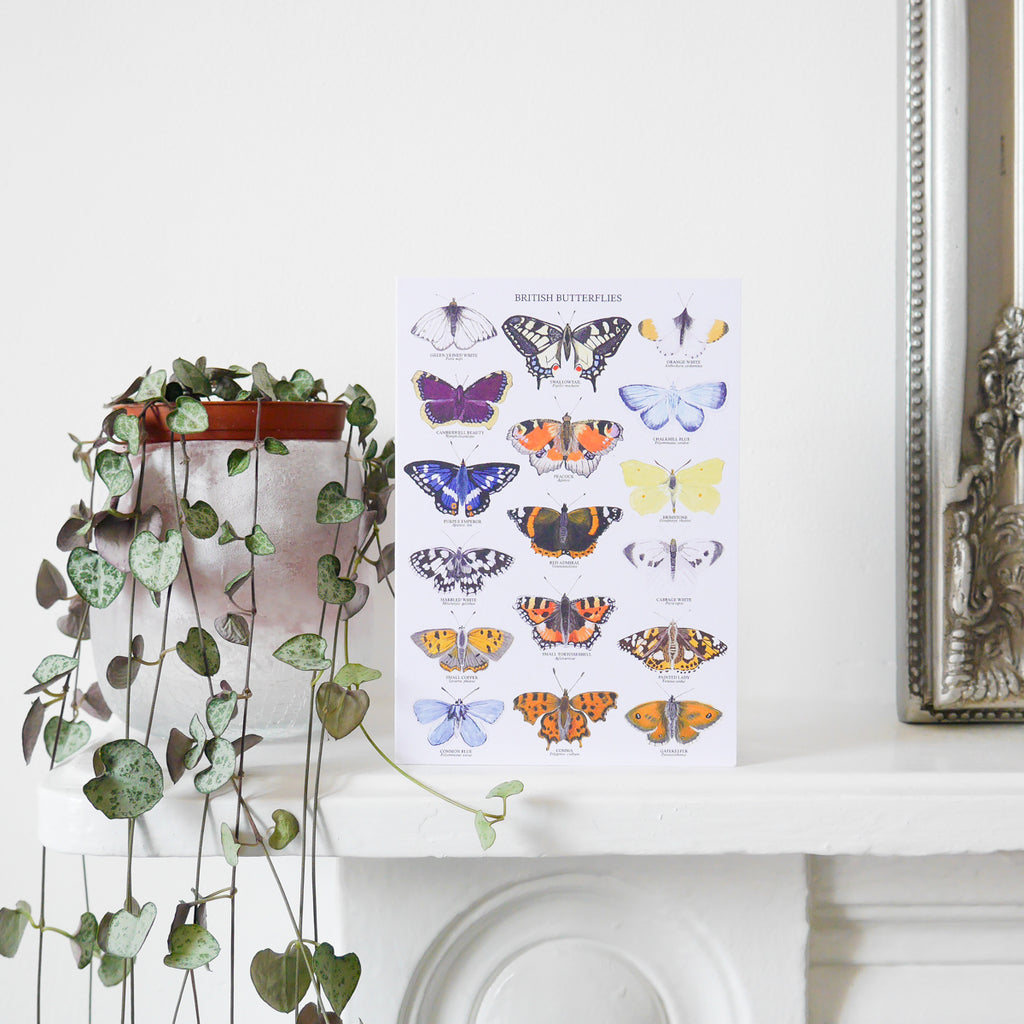 British Butterflies Greetings Card - Sarah Frances 