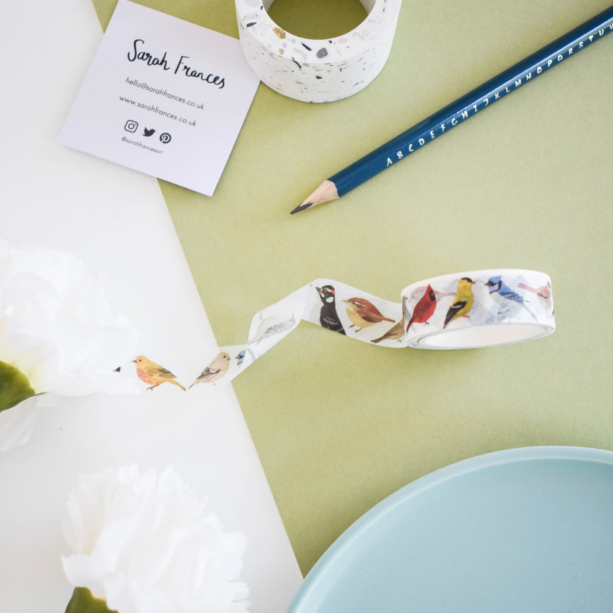 North American Birds Washi Tape - Sarah Frances
