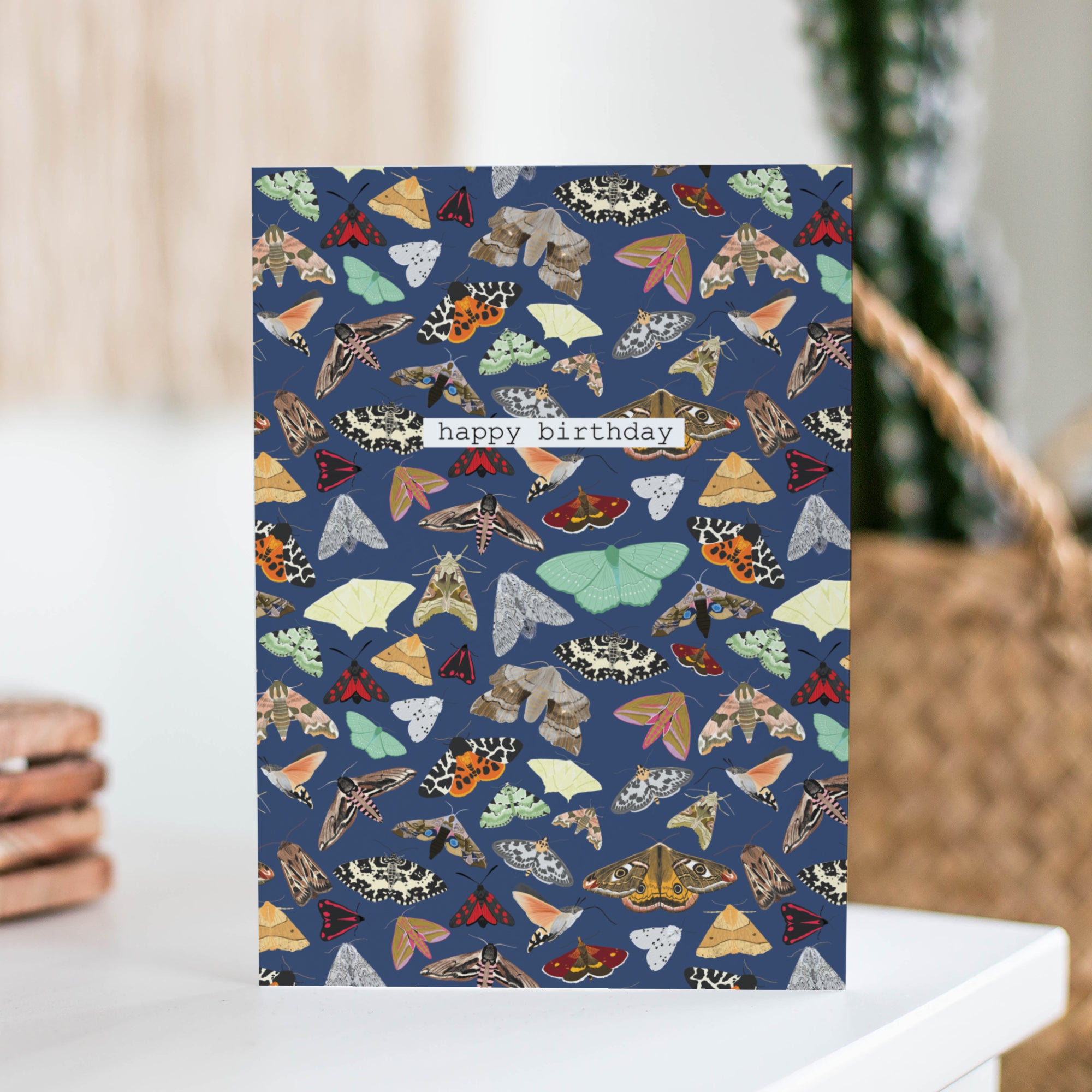 Happy Birthday Moths Greetings Card - Sarah Frances