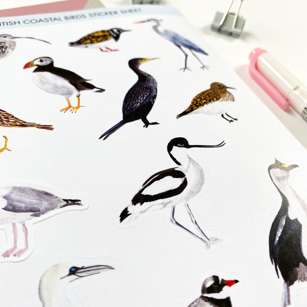 British Coastal Birds Stickers - Sarah Frances 