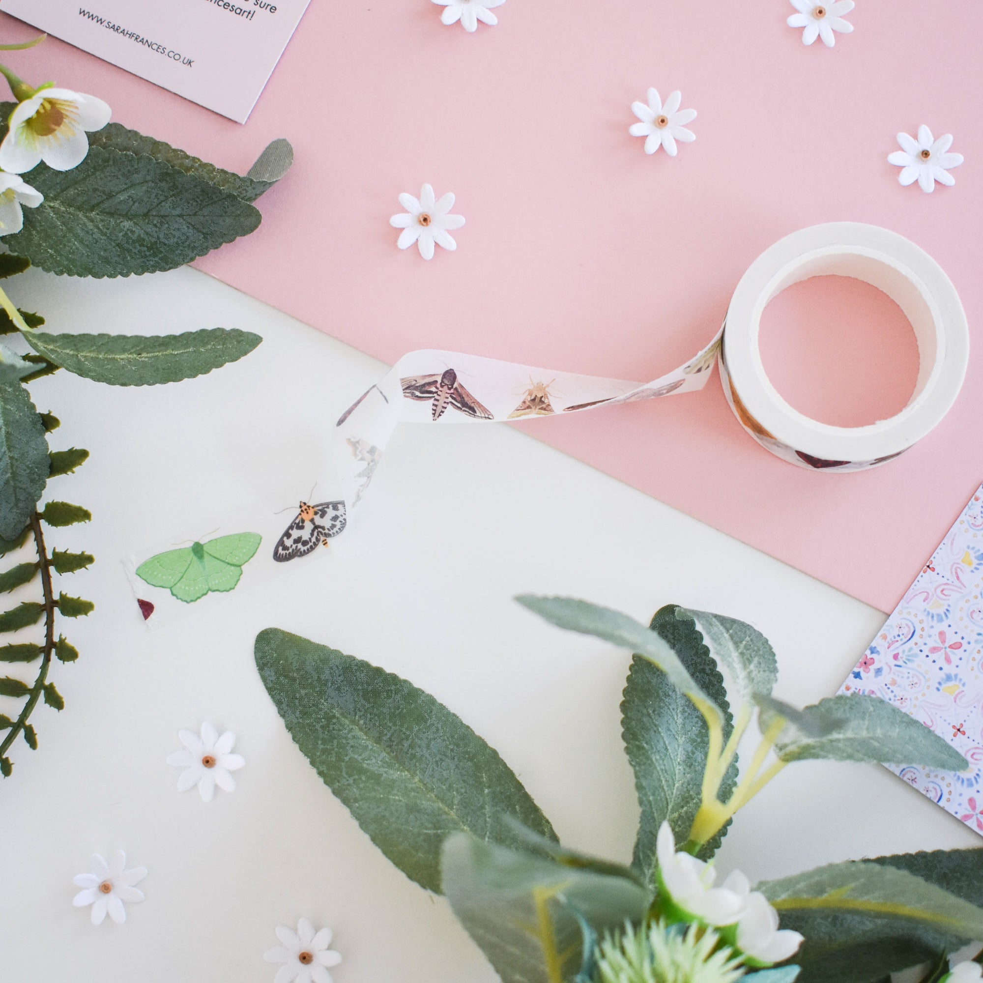 British Moths Washi Tape - Sarah Frances