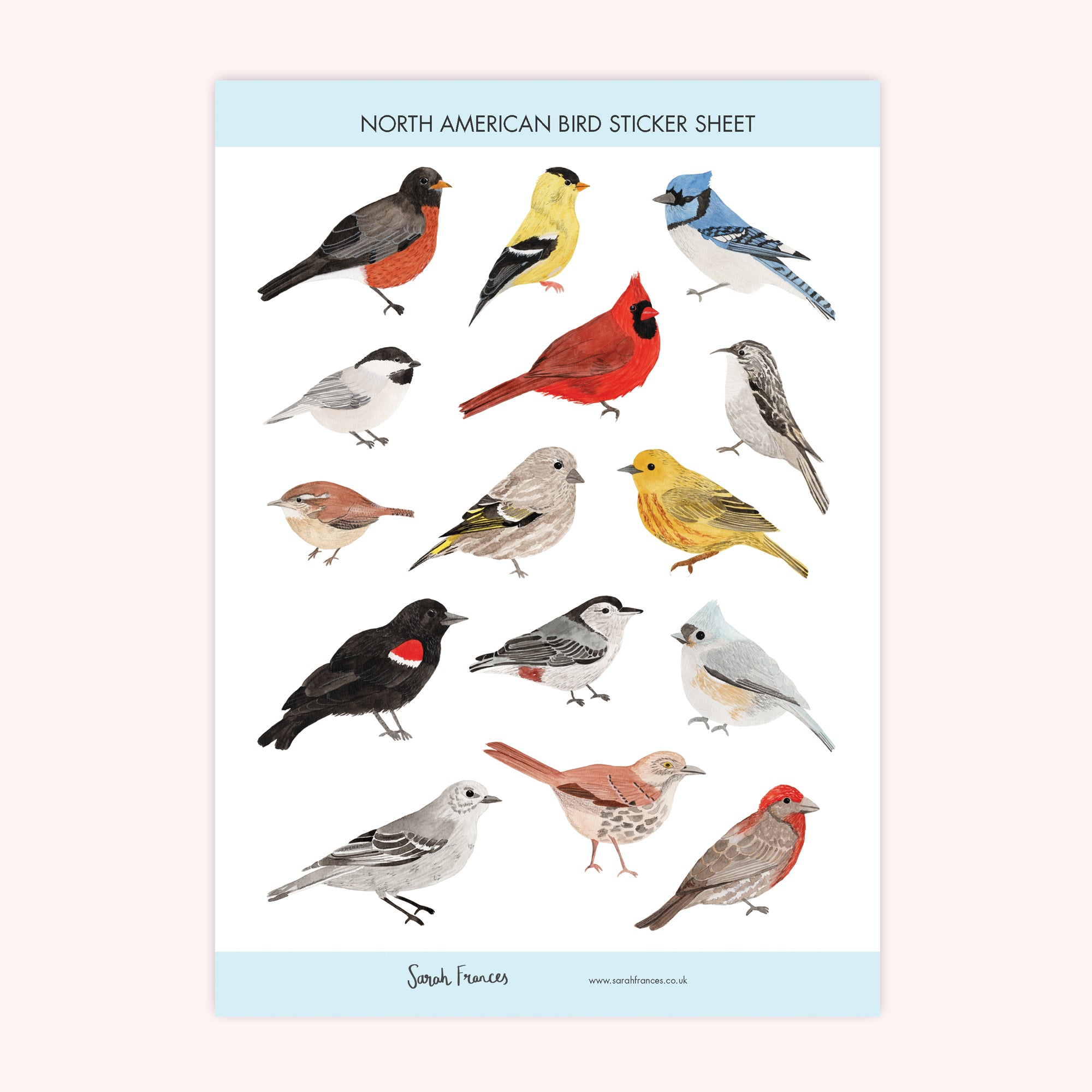 North American Bird Stickers - Sarah Frances