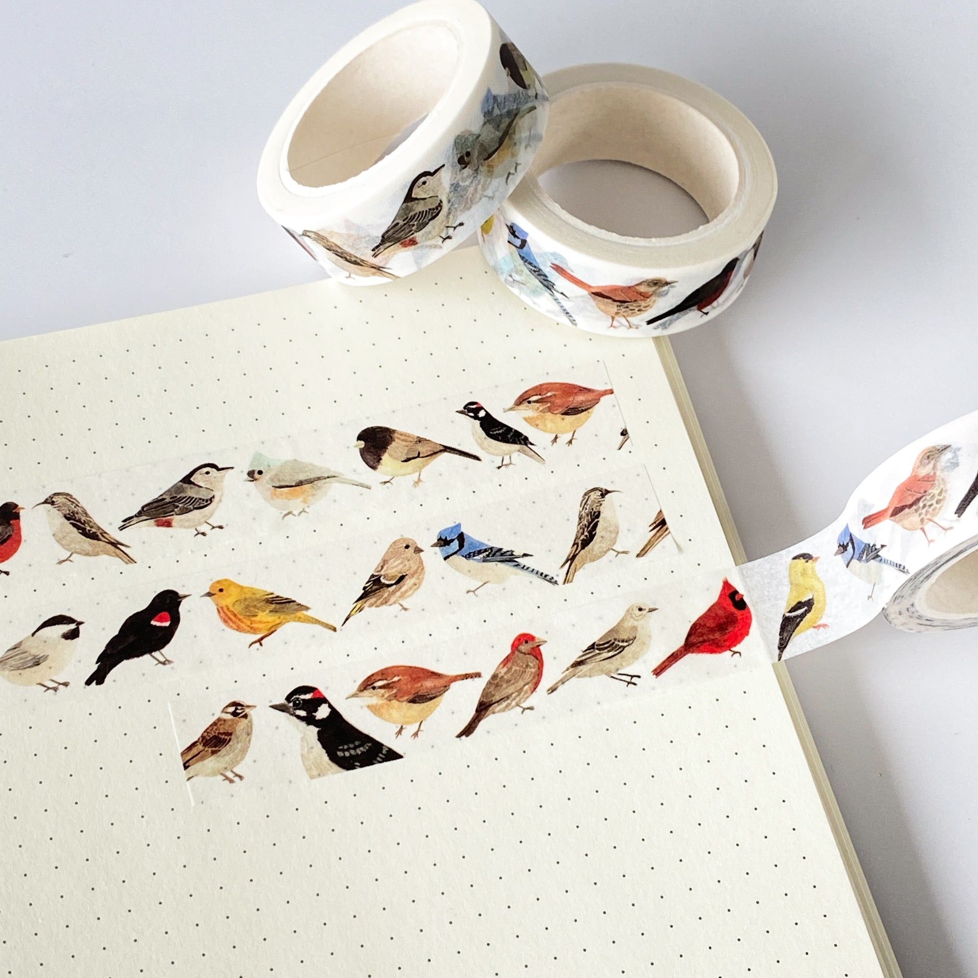 North American Birds Washi Tape - Sarah Frances