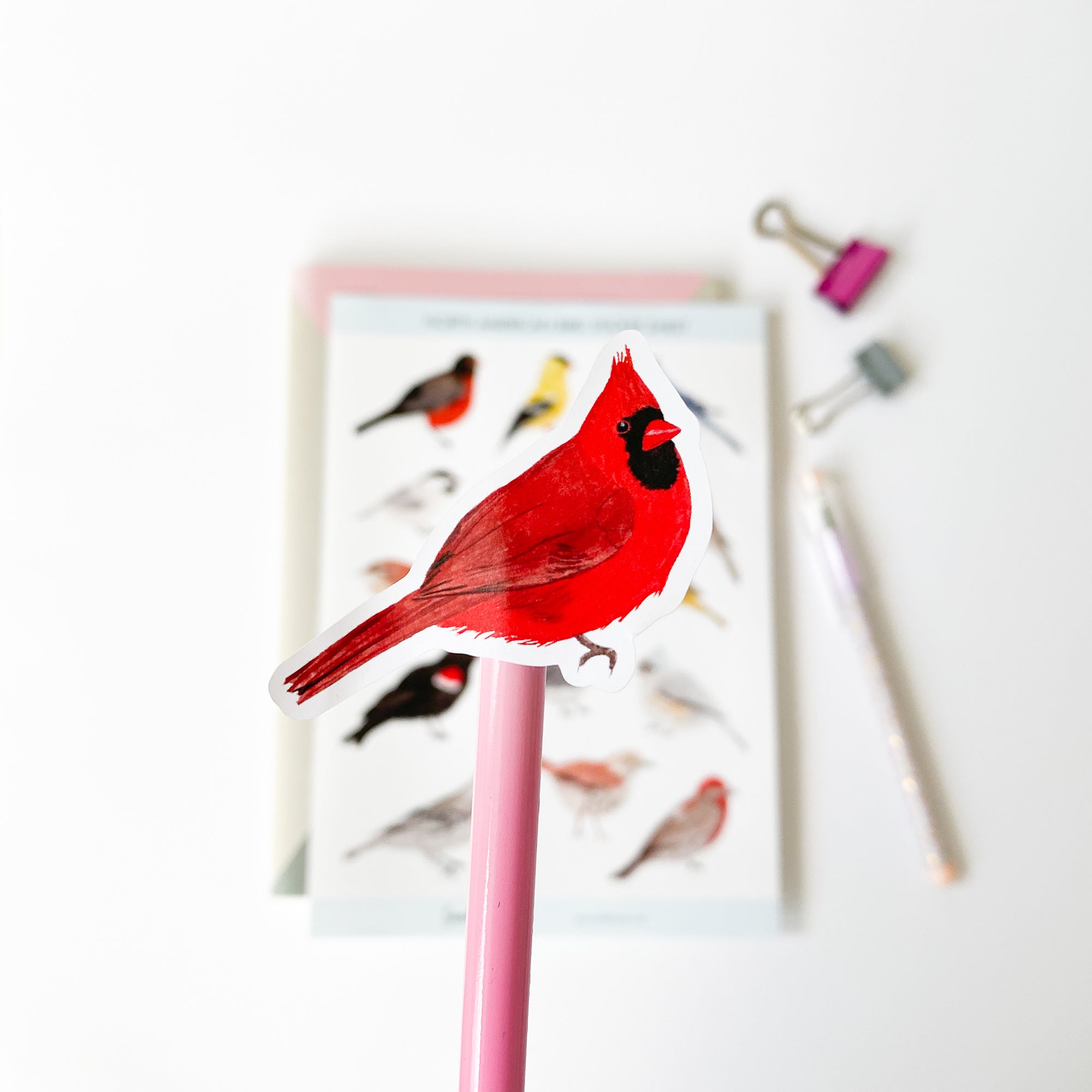 North American Bird Stickers - Sarah Frances