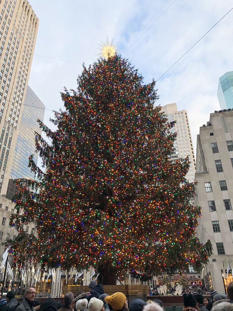 New York at Christmas (2018) Photo Diary