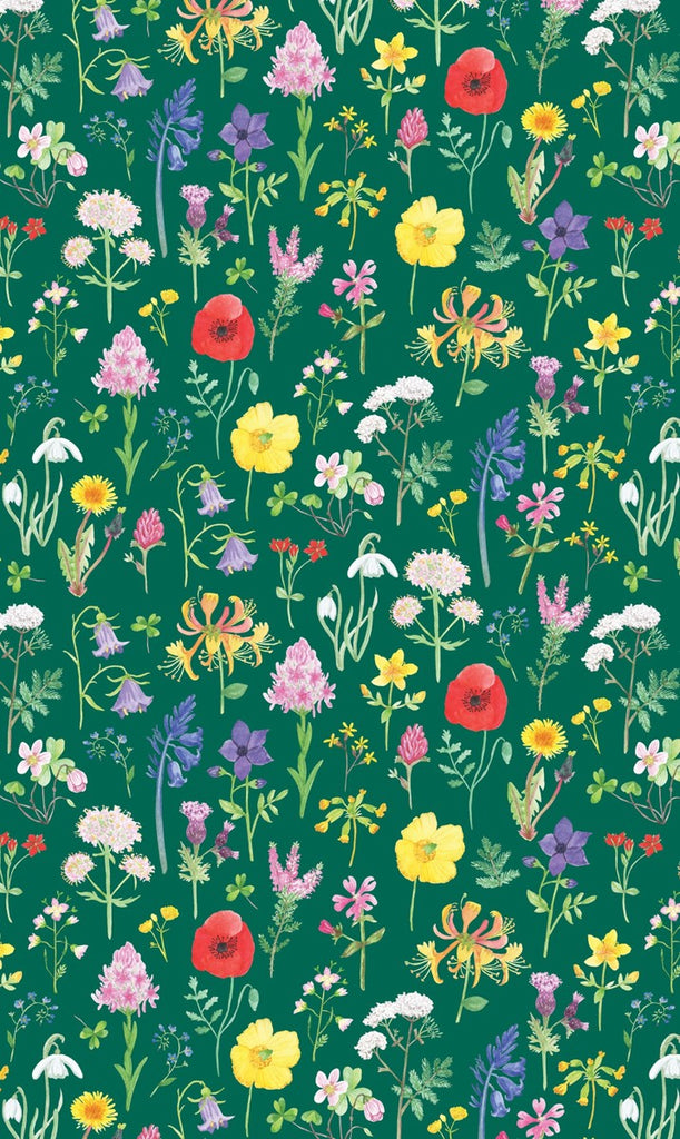 British Wildflowers