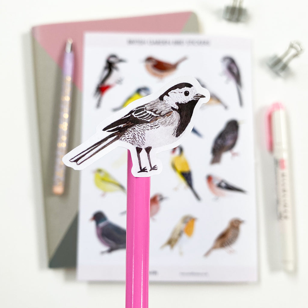 A sticker sheet featuring British garden birds with a Pied Wagtail in the foreground.