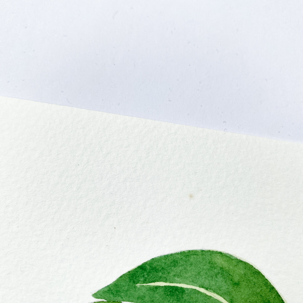 Monstera Leaf - Original 26x20cm Watercolour Painting - By Sarah Frances - Sarah Frances 