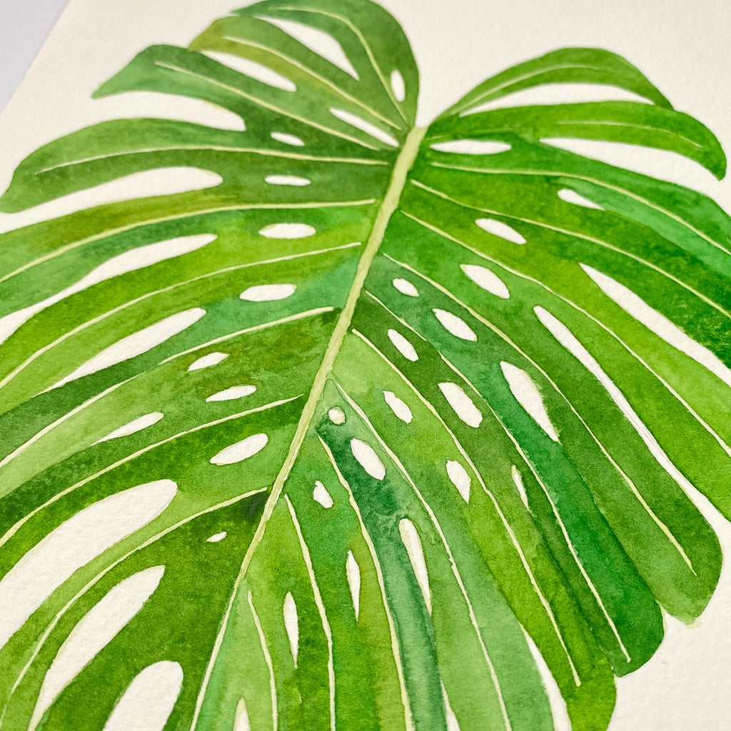 Monstera Leaf - Original 26x20cm Watercolour Painting - By Sarah Frances - Sarah Frances 