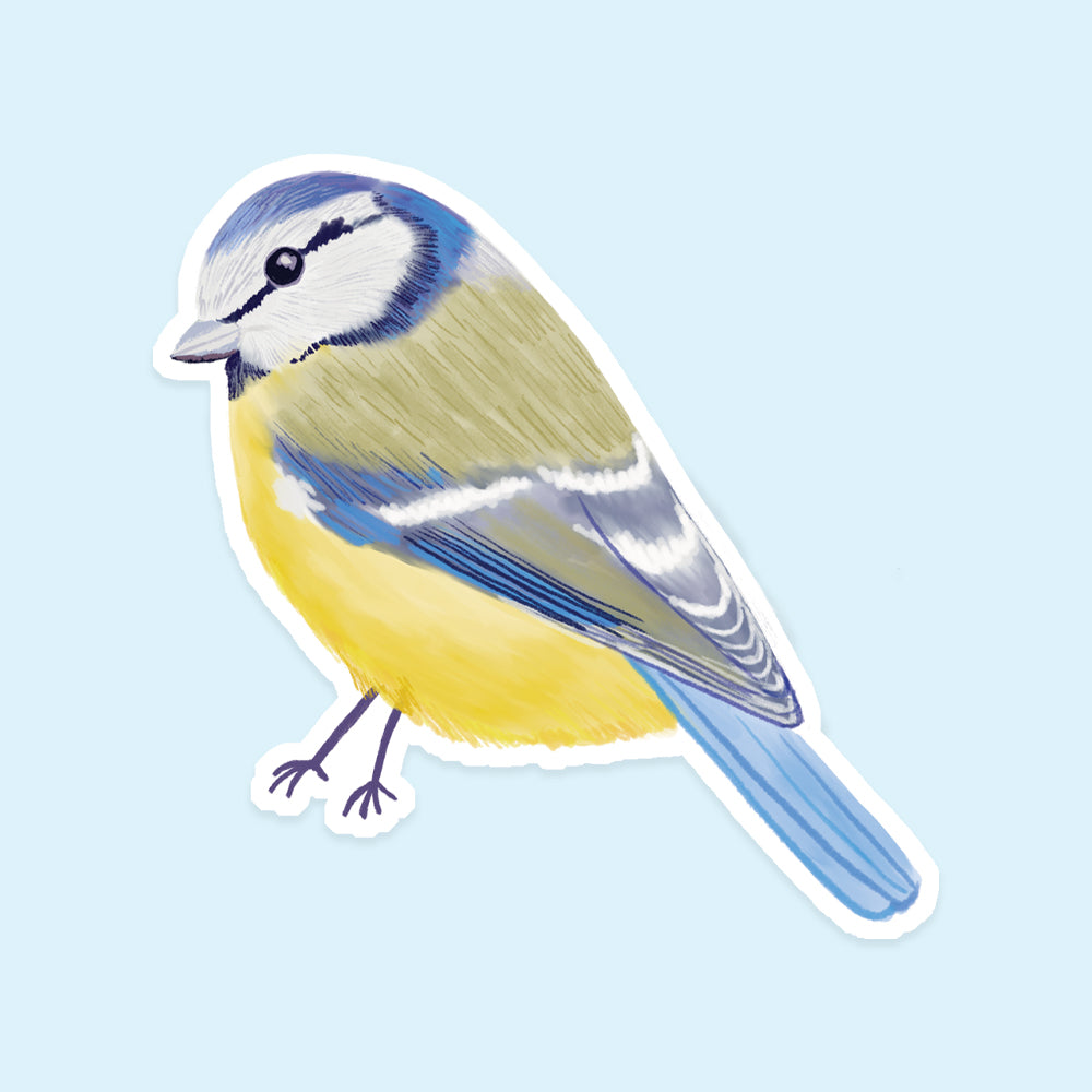 Blue Tit Vinyl Sticker - Sarah Frances 