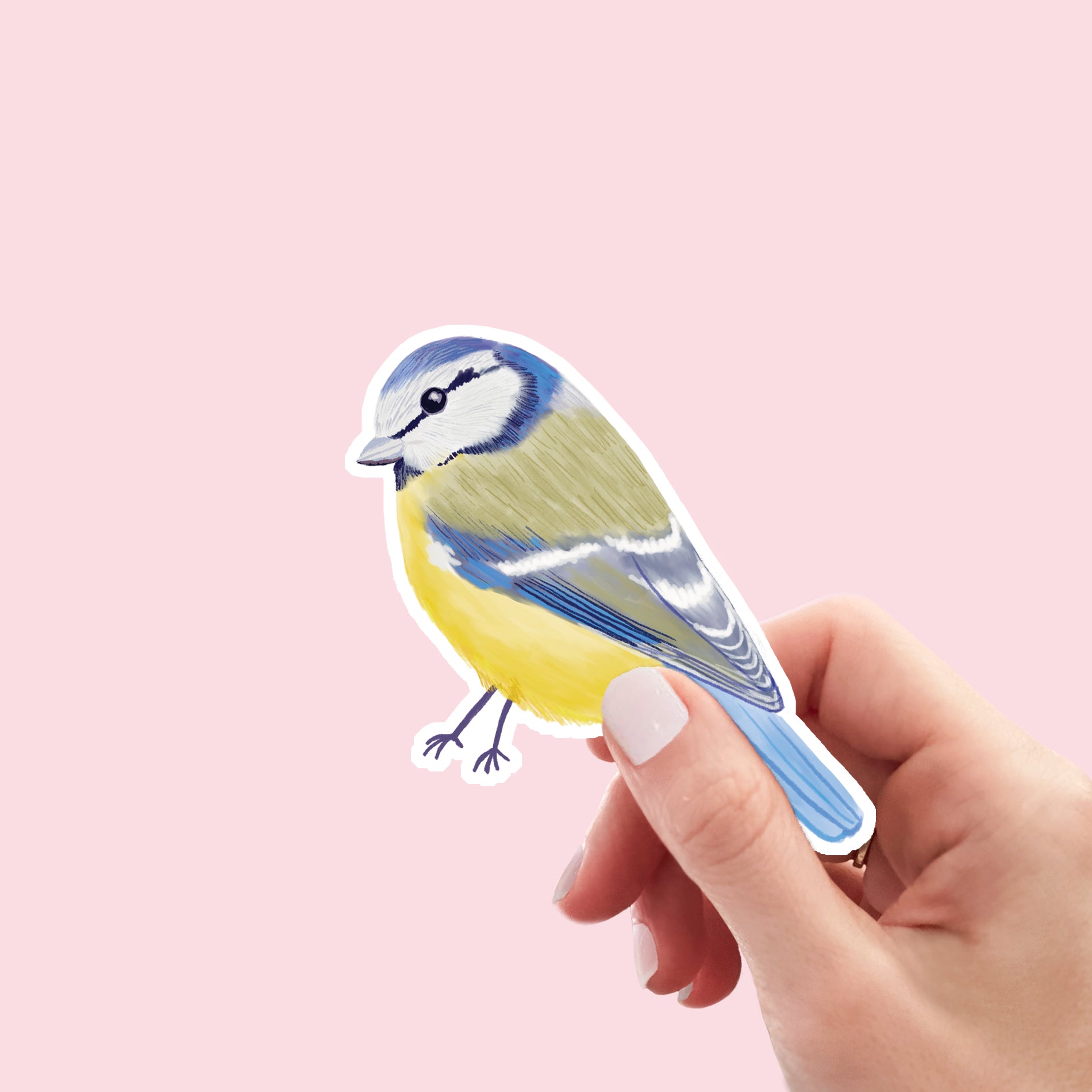 Blue Tit Vinyl Sticker - Sarah Frances 