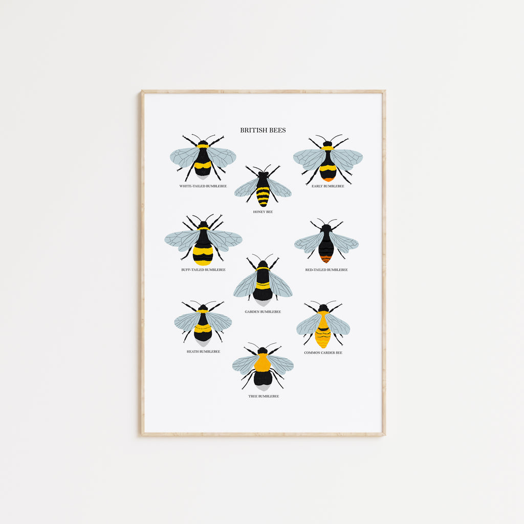 British Bees Art Print - Sarah Frances 