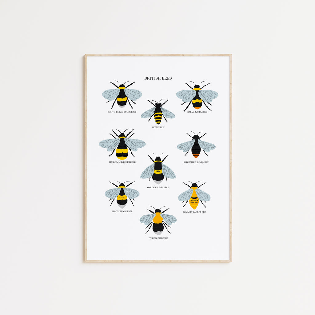 British Bees Art Print - Sarah Frances 