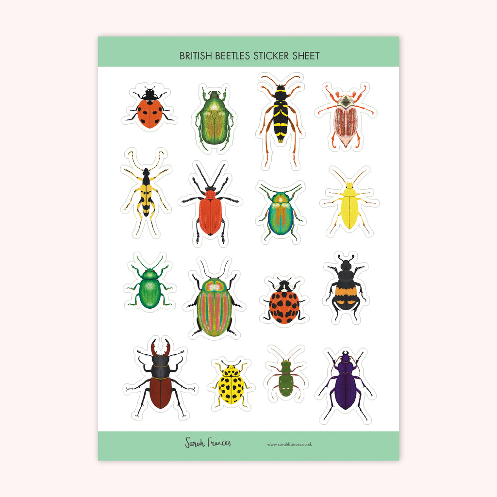 British Beetles Stickers - Sarah Frances 