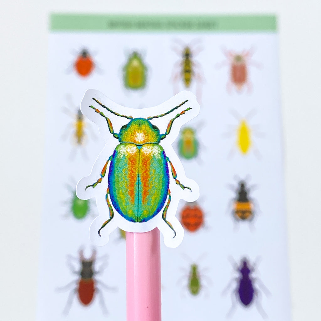 British Beetles Stickers - Sarah Frances 