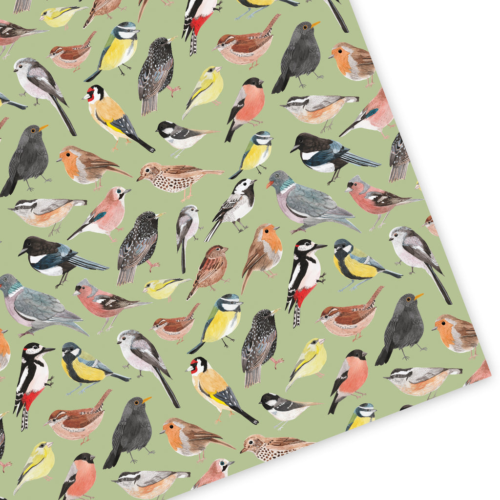 British Birds Wrapping Paper - Sarah Frances 