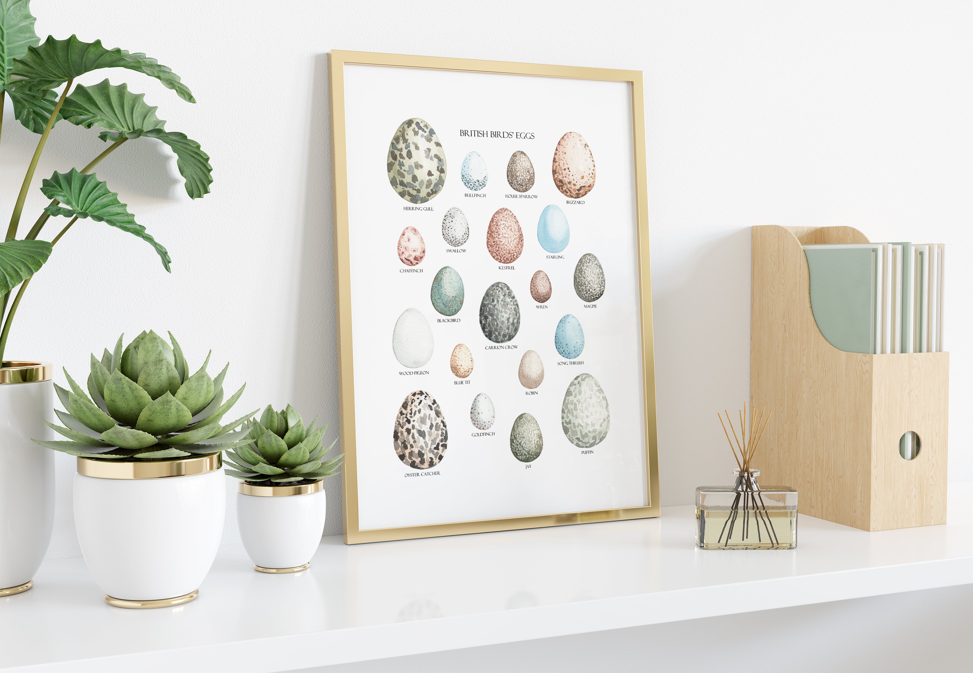 British Birds' Eggs Art Print - Sarah Frances 