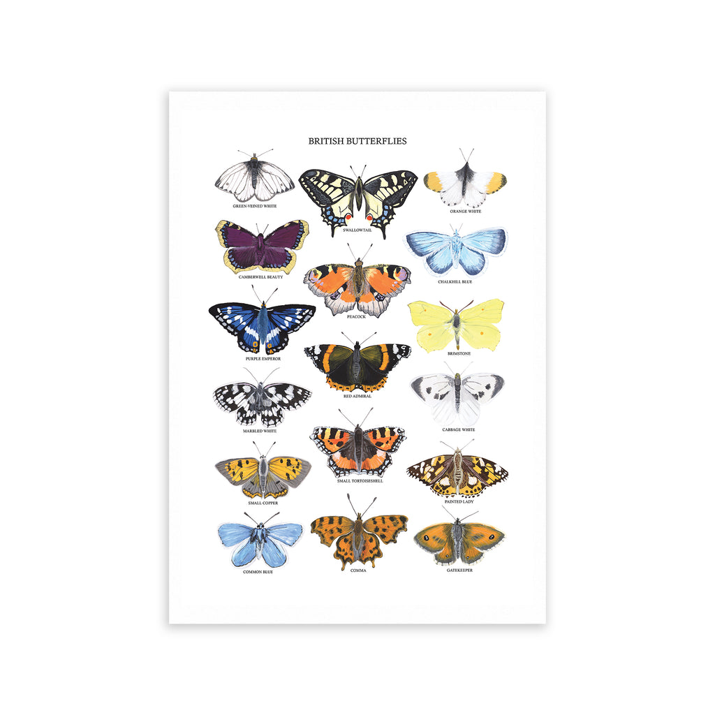 British Butterflies Fine Art Print - Sarah Frances 