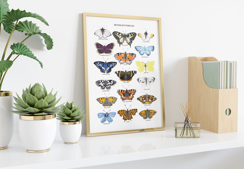 British Butterflies Art Print - Sarah Frances 