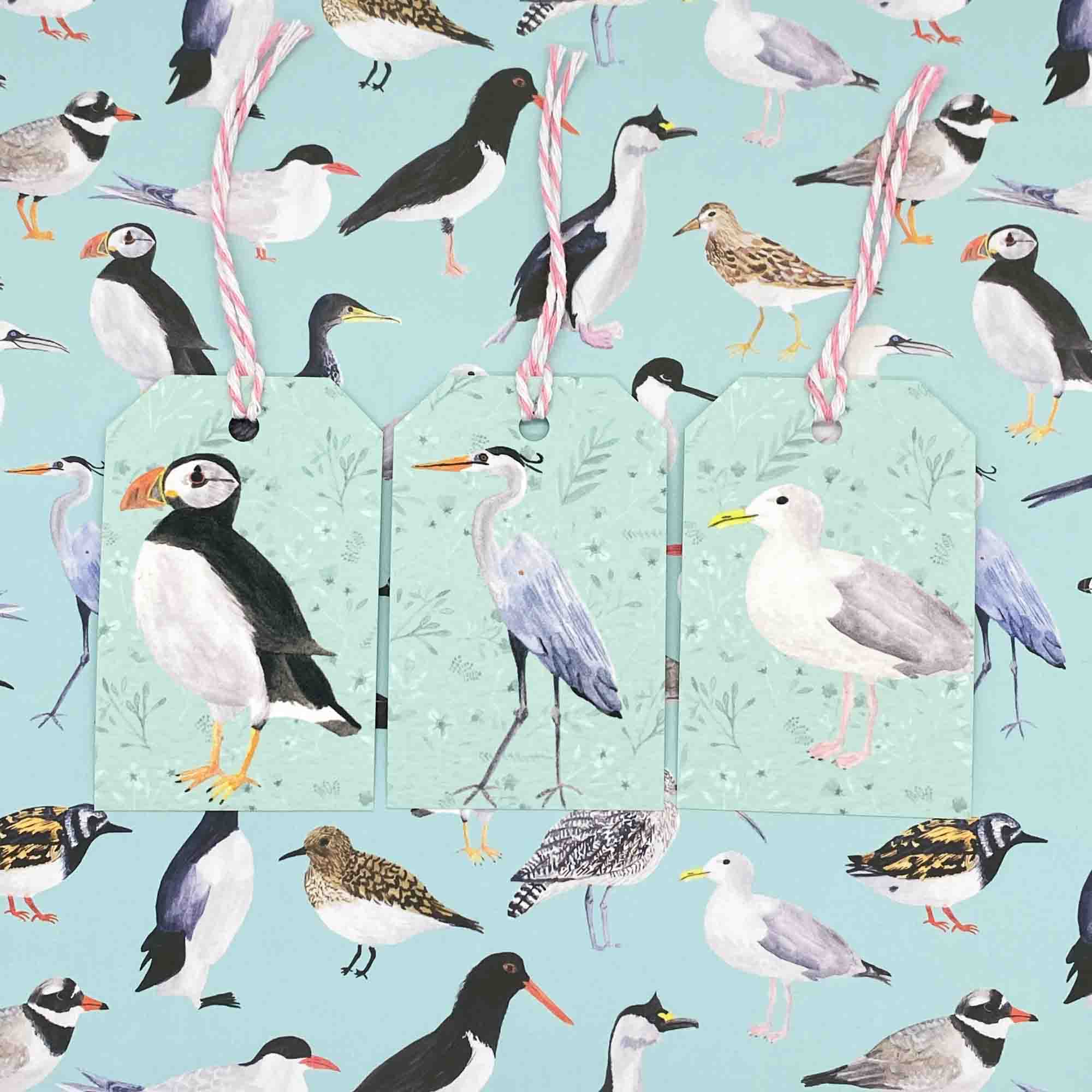 British Coastal Birds Gift Tags - Sarah Frances 