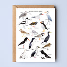 British Coastal Birds Greetings Card - Sarah Frances 