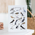 British Coastal Birds Greetings Card - Sarah Frances 