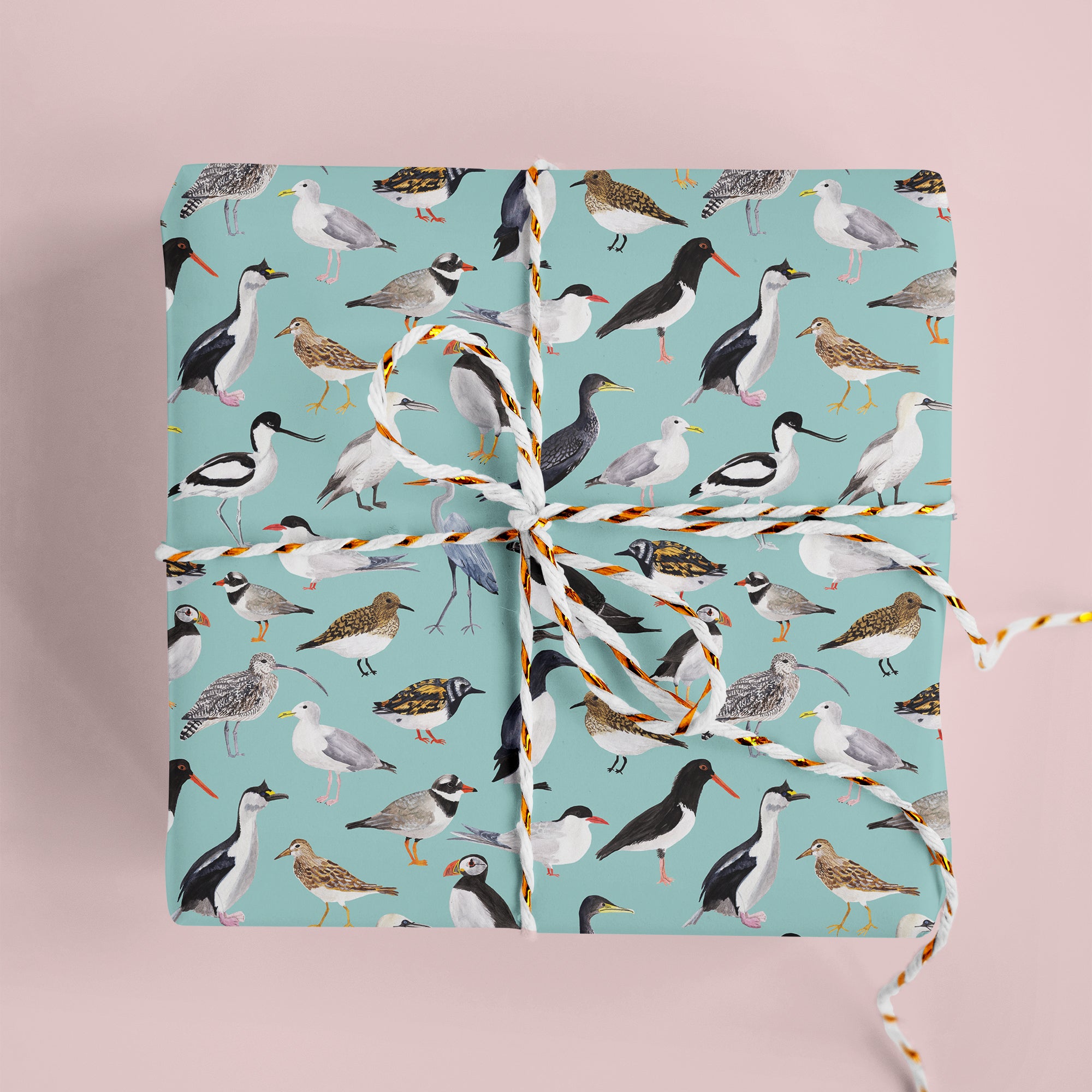 British Coastal Birds Wrapping Paper - Sarah Frances 