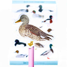 British Duck Stickers - Sarah Frances 