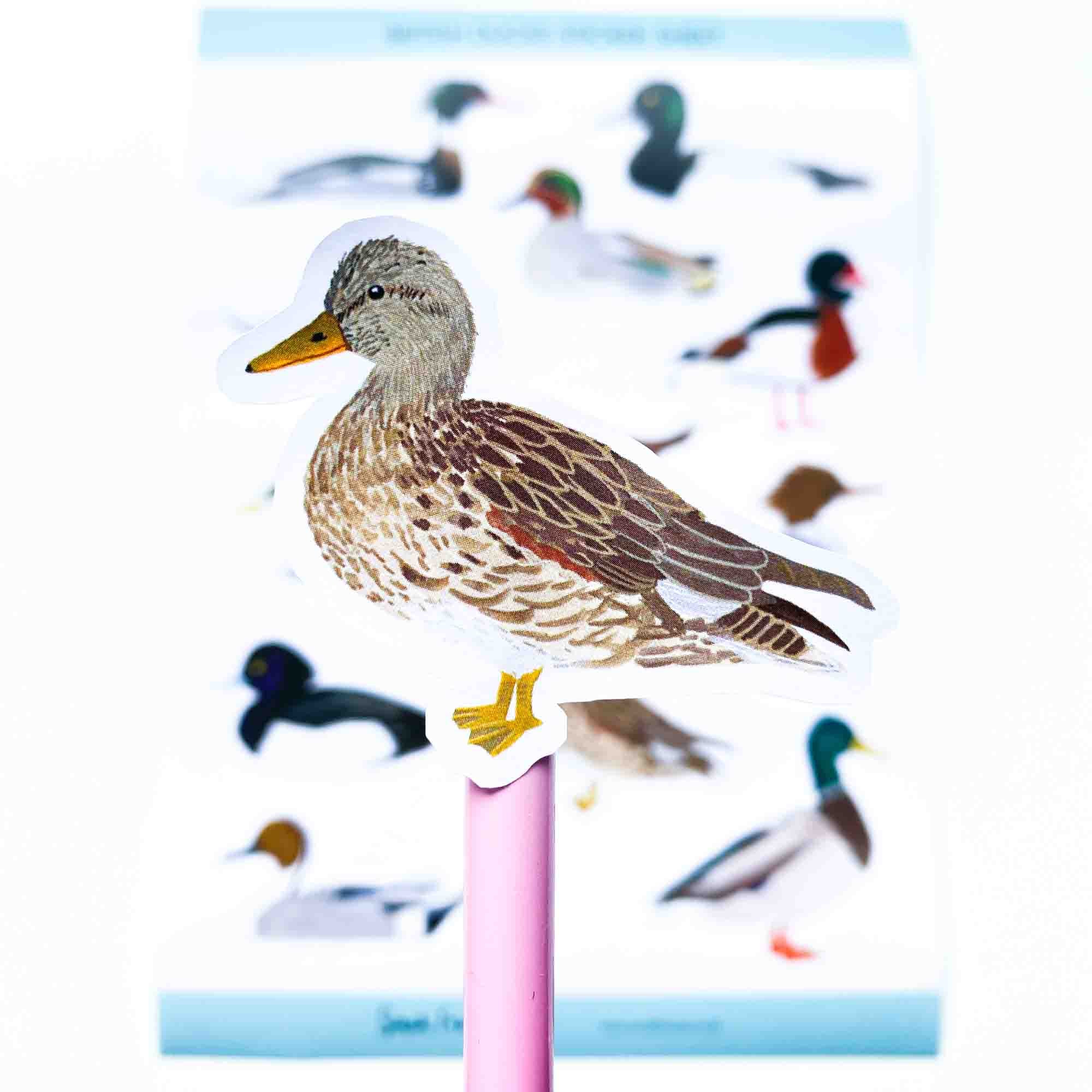 British Duck Stickers - Sarah Frances 