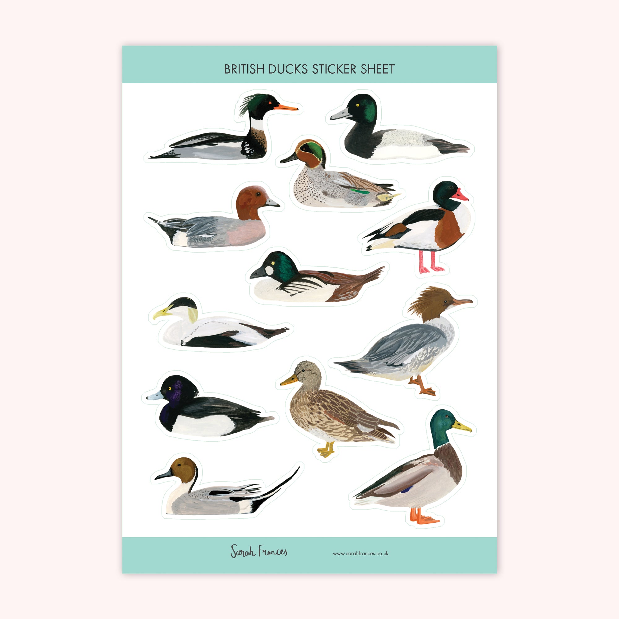 British Duck Stickers - Sarah Frances 