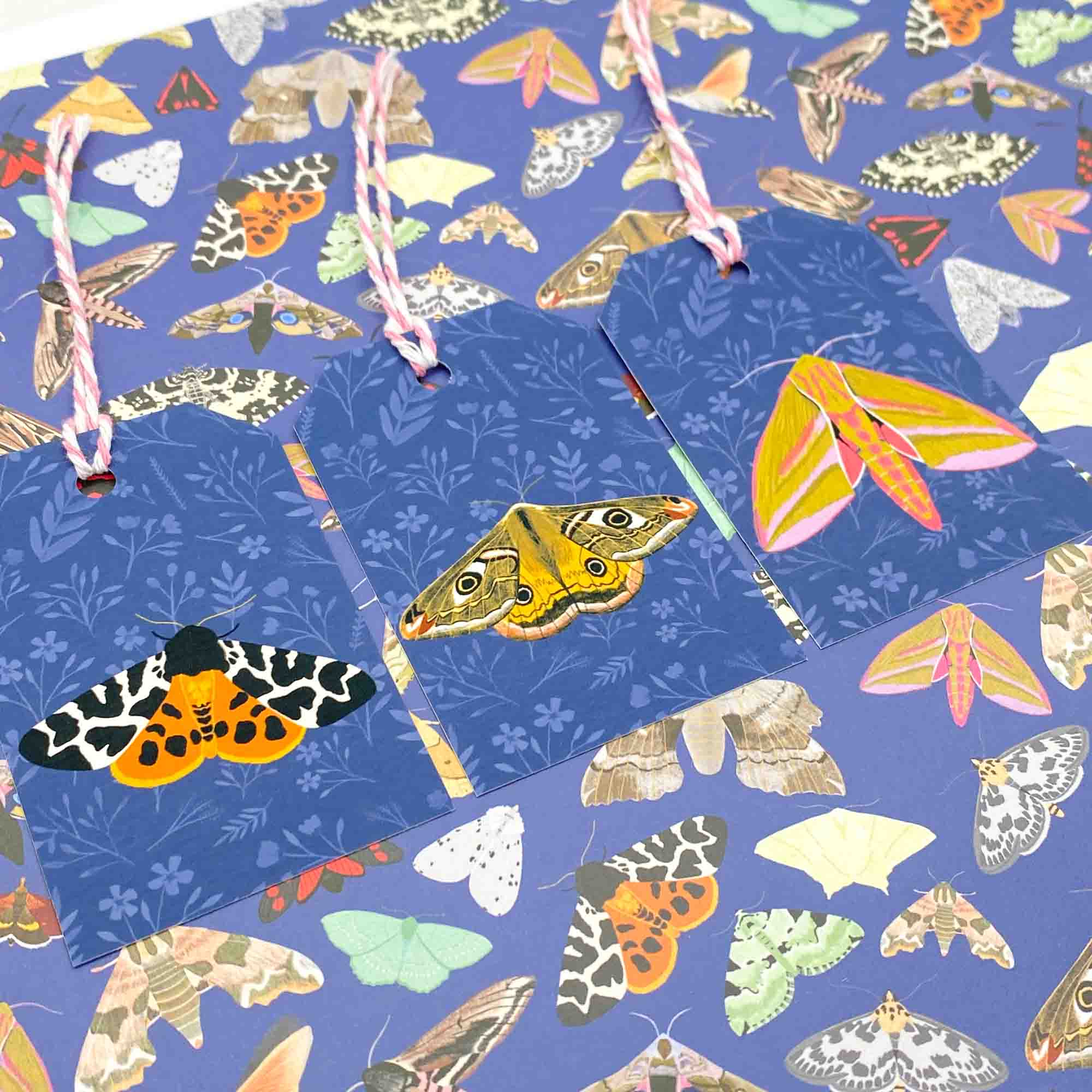 British Moths Gift Tags - Sarah Frances 