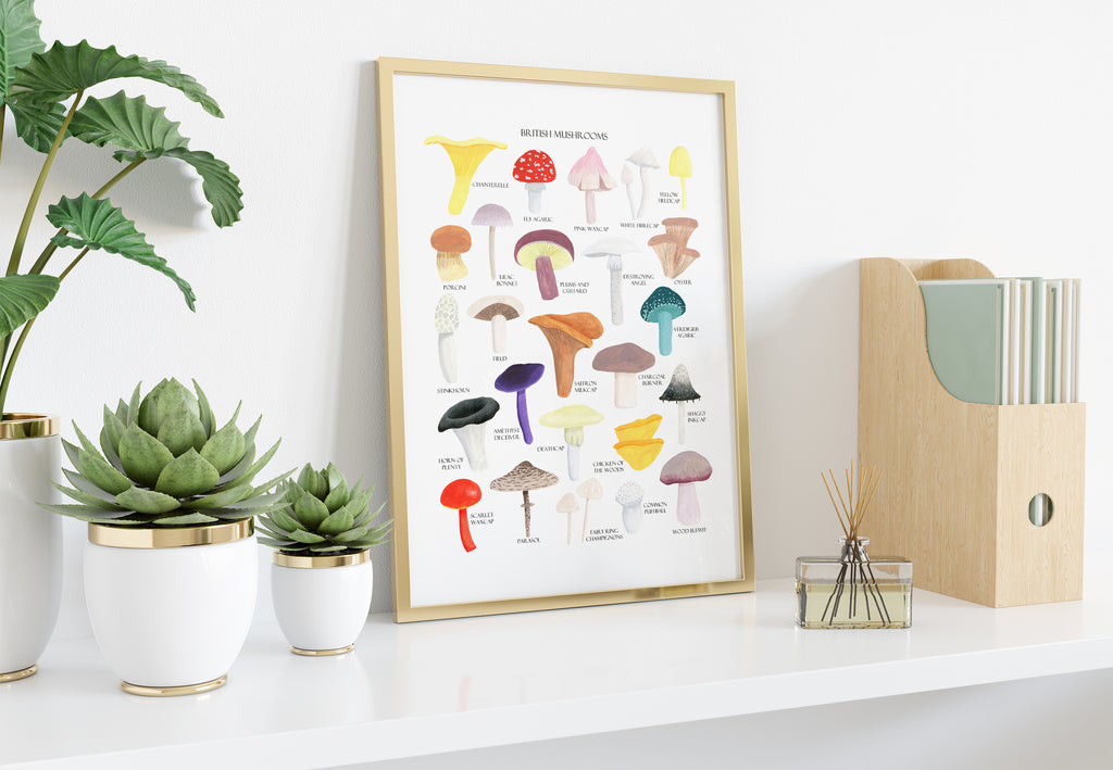British Mushrooms Art Print - Sarah Frances 