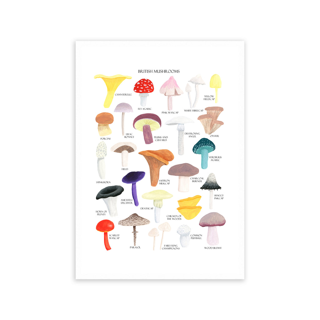 British Mushrooms Art Print - Sarah Frances 