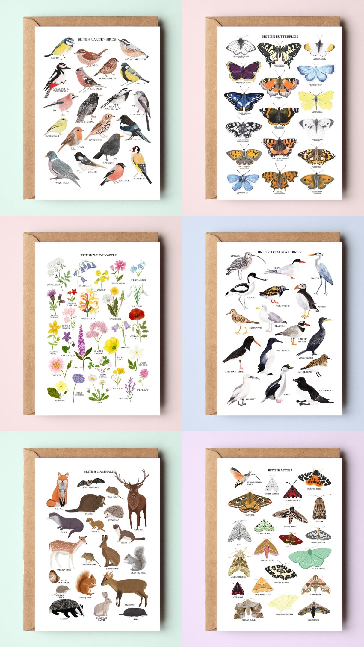 British Nature Greetings Card Packs - Two Volumes - Sarah Frances 