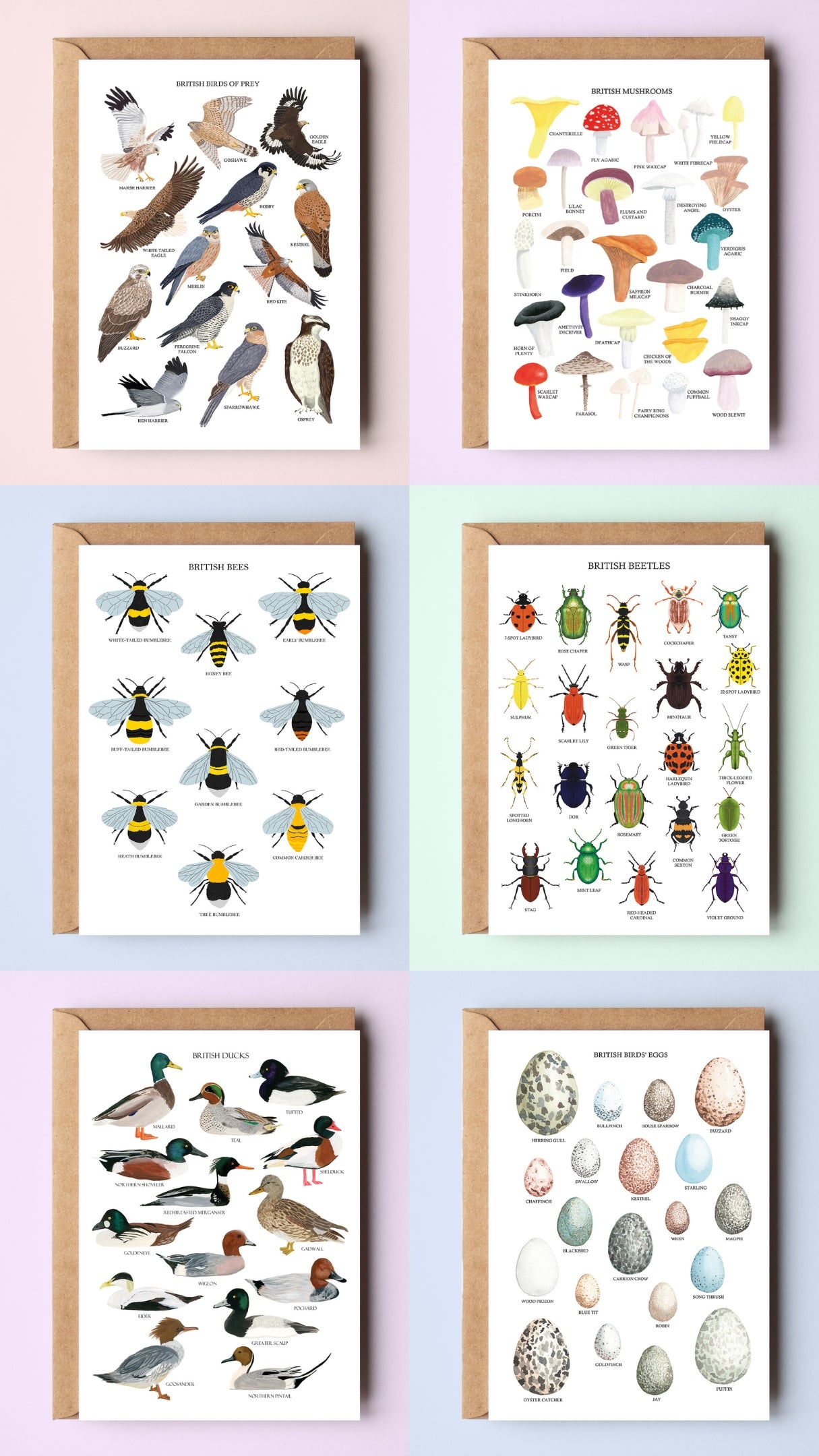 British Nature Greetings Card Packs - Two Volumes - Sarah Frances 