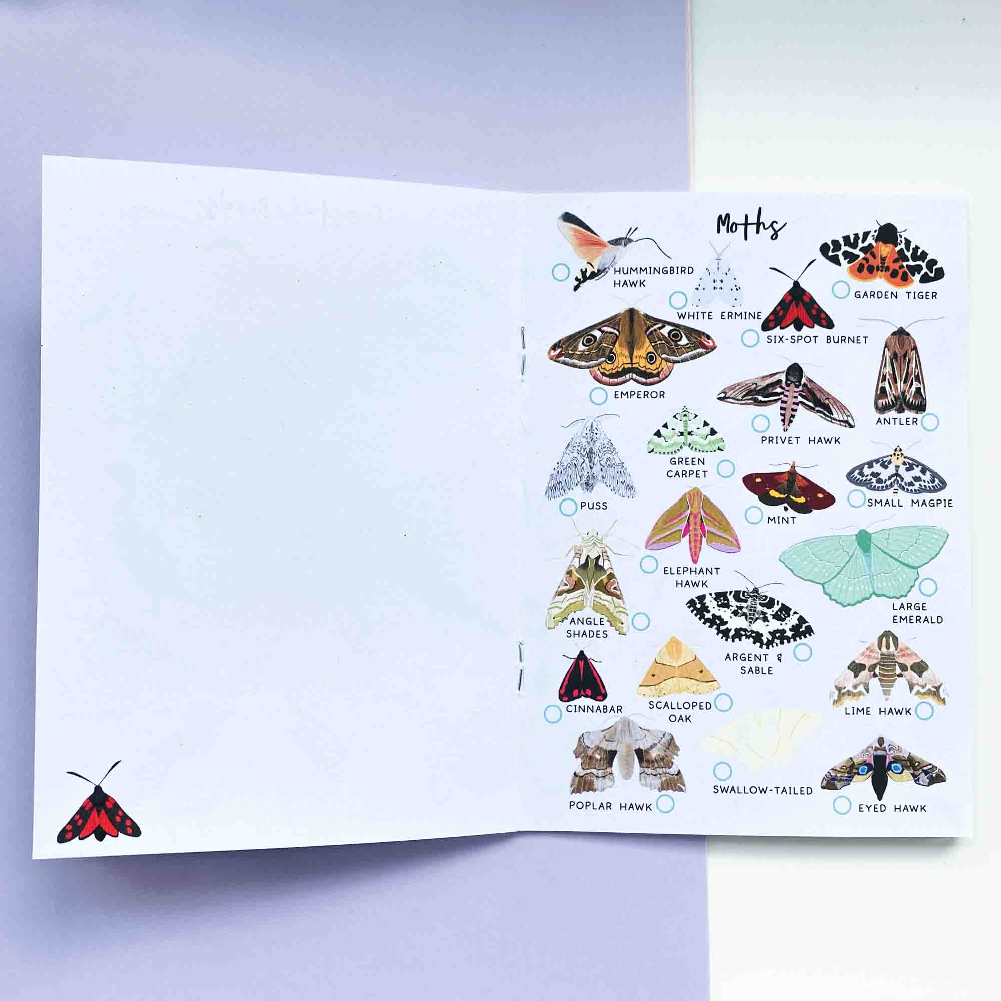 British Nature Spotter Journal - Sarah Frances 
