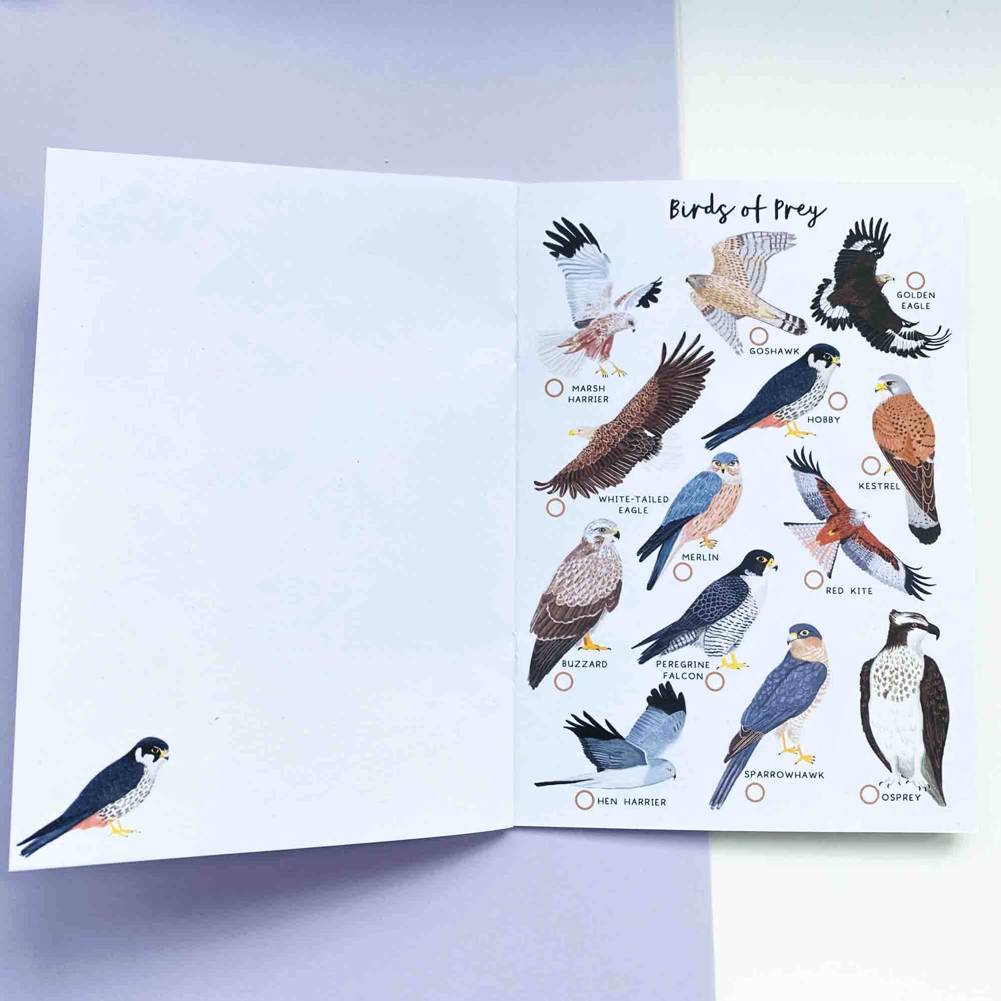 British Nature Spotter Journal - Sarah Frances 