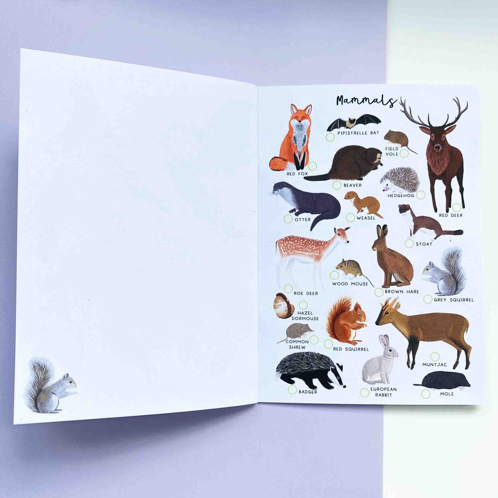 British Nature Spotter Journal - Sarah Frances 