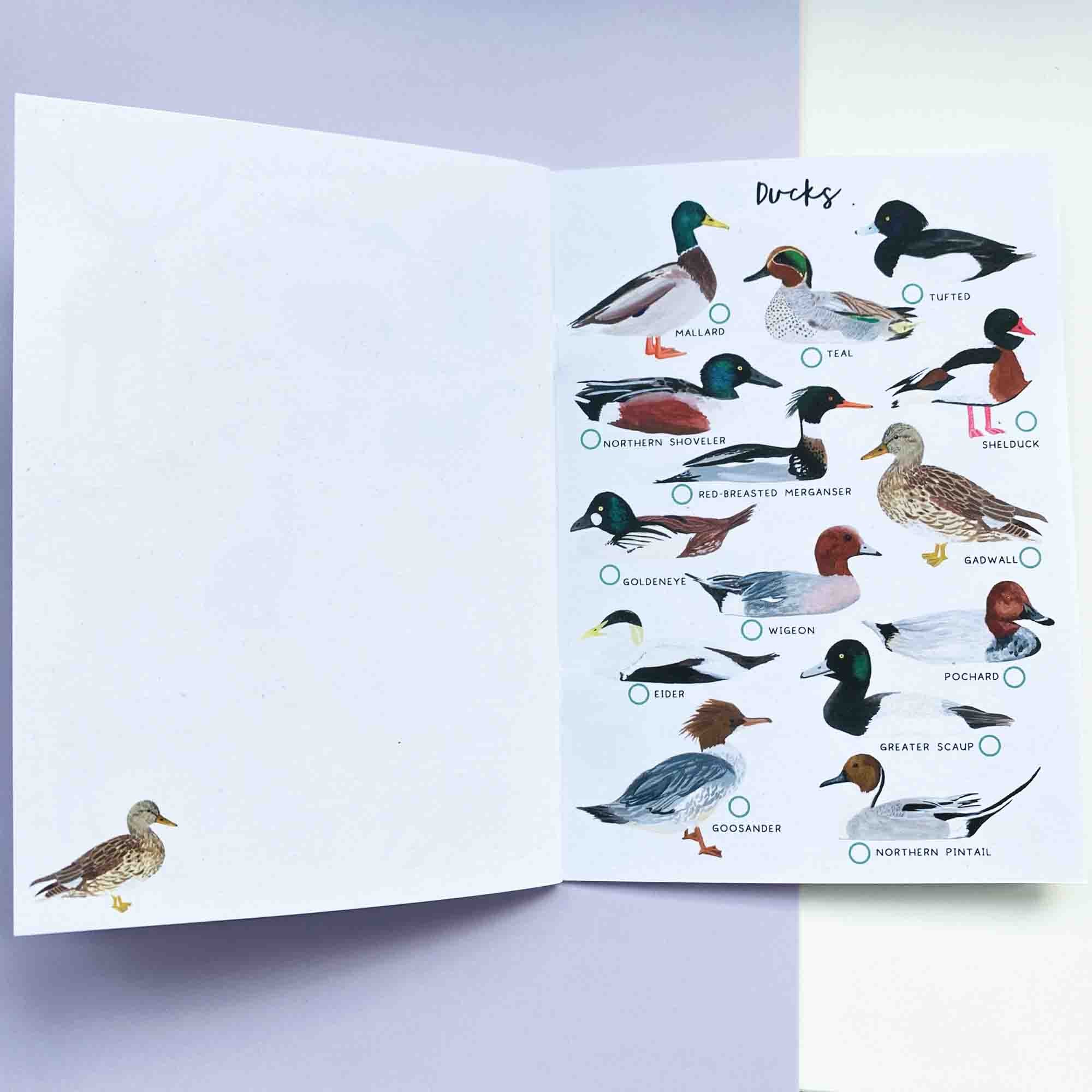 British Nature Spotter Journal - Sarah Frances 