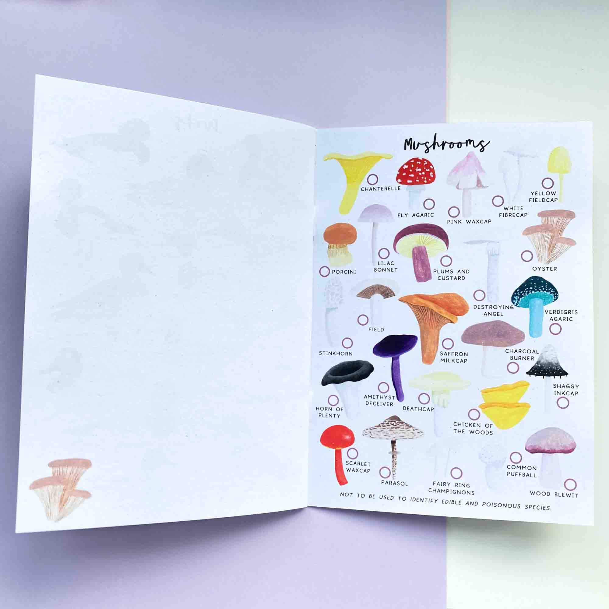 British Nature Spotter Journal - Sarah Frances 