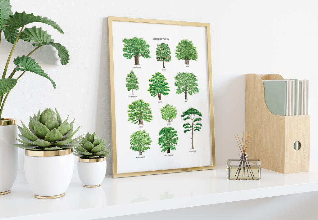 British Trees Art Print - Sarah Frances 