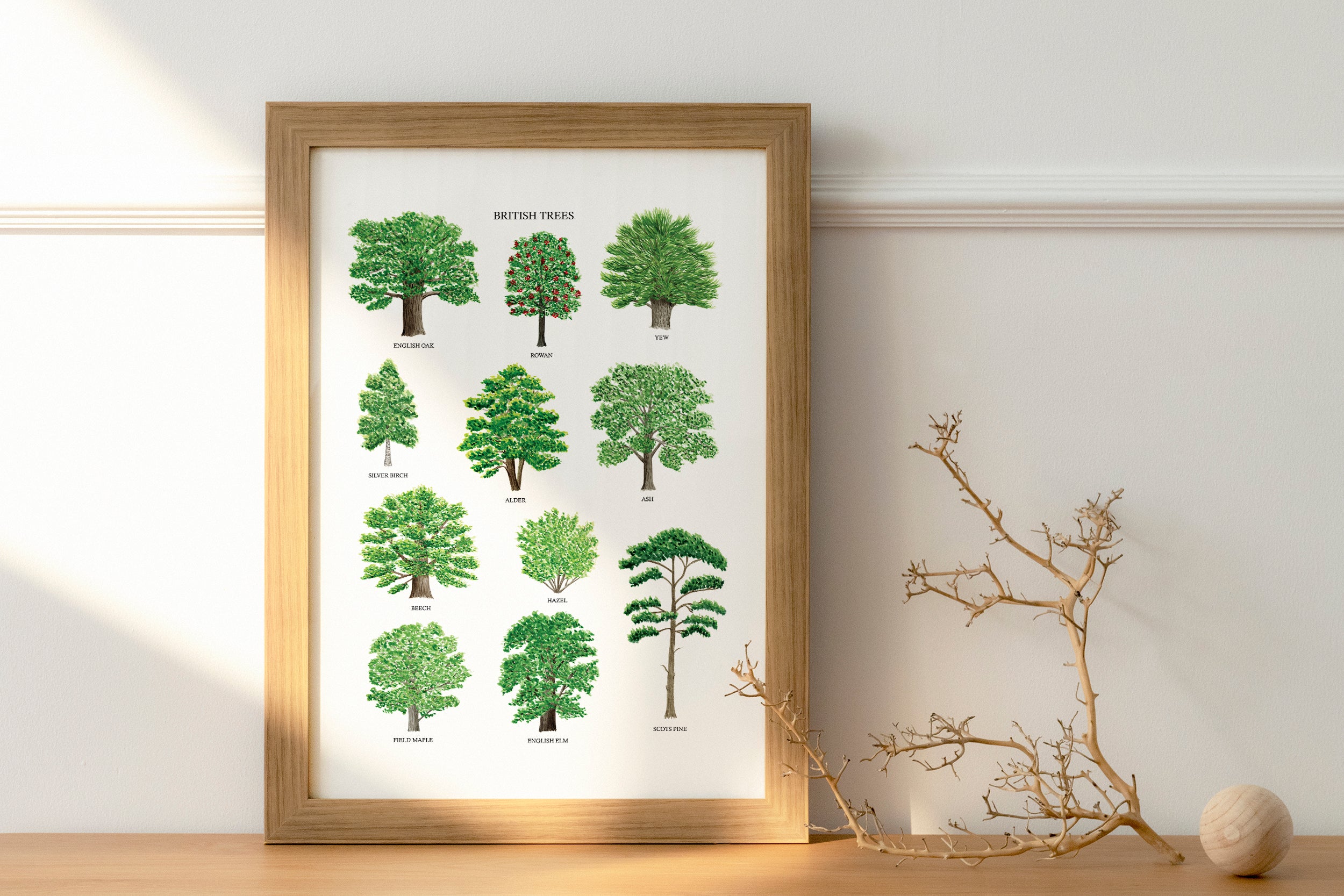 British Trees Art Print - Sarah Frances 