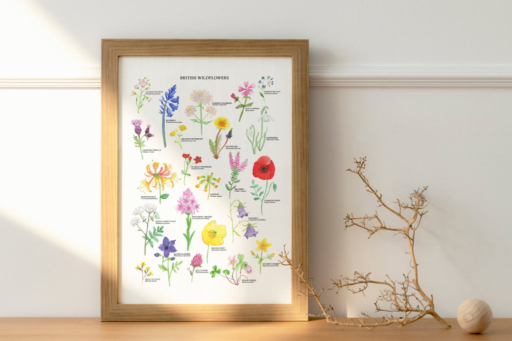 British Wildflowers Art Print - Sarah Frances 