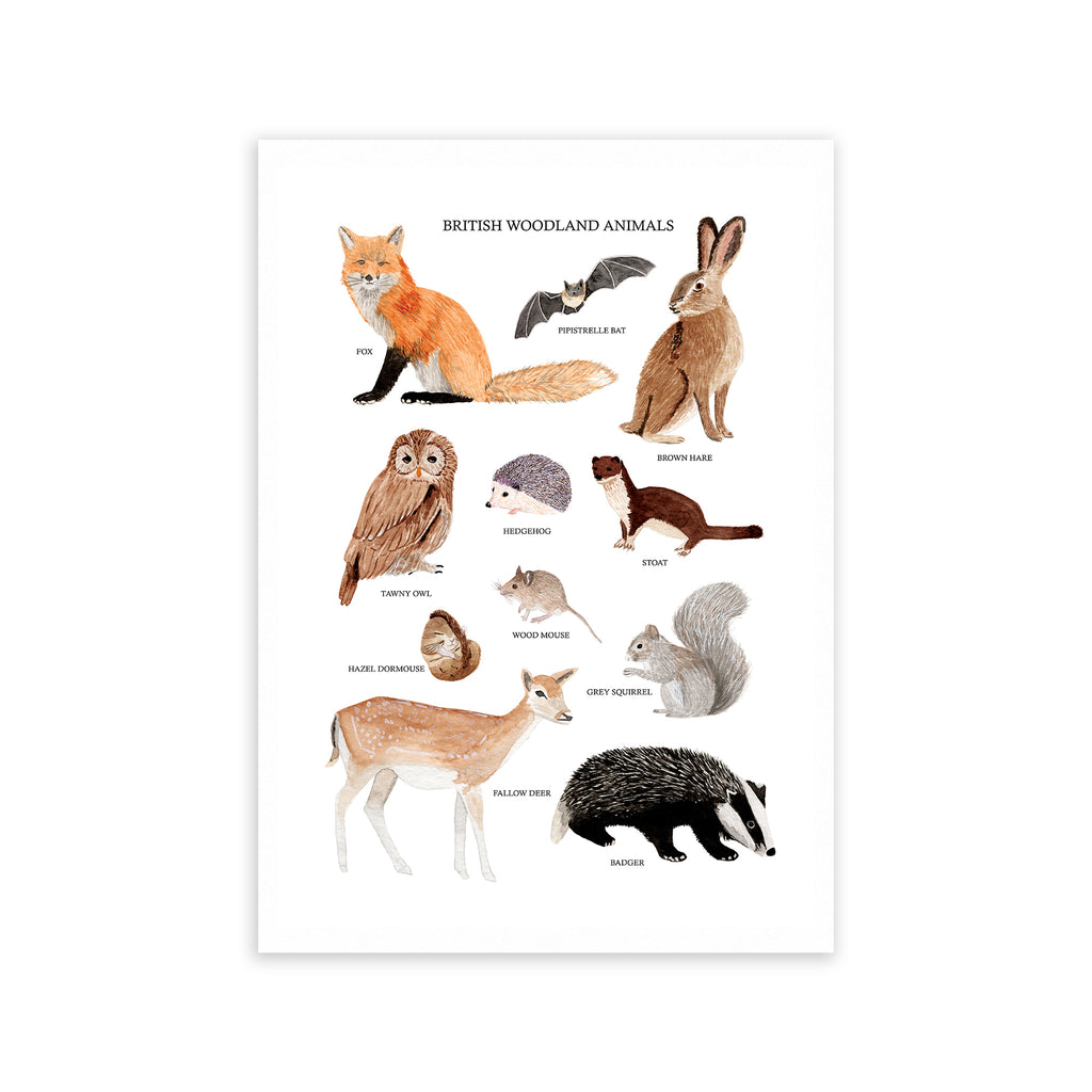 British Woodland Animals Art Print - Sarah Frances 