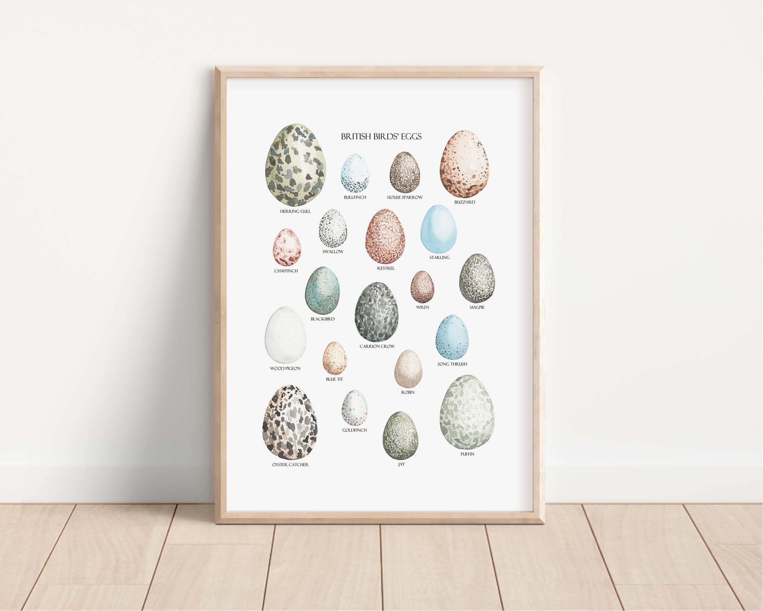 British Birds' Eggs Art Print - Sarah Frances 